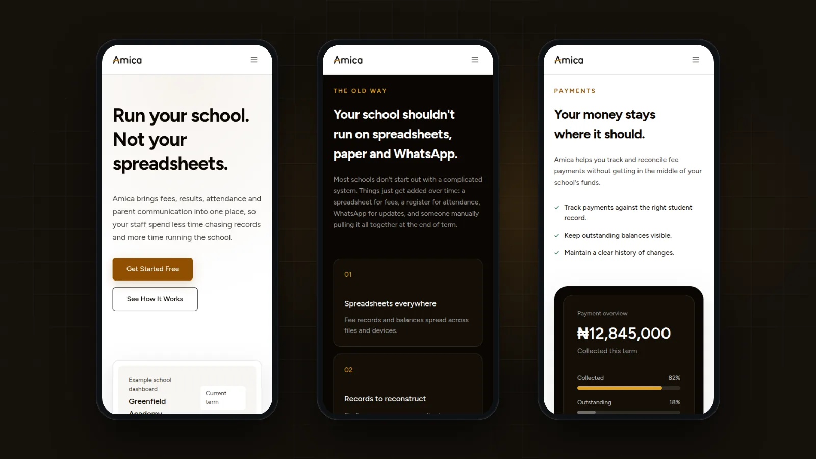 Amica School Portal screenshot 5